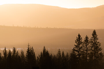 The low winter sun creates a soft backlight over a wooded mountainside in the Swedish mountains.