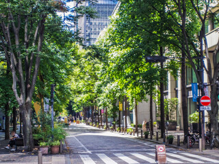 Fototapeta premium 【東京都】丸の内仲通り