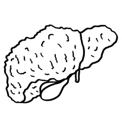 Human liver cirrhosis outline drawing