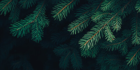 Xmas Banner background - close up of green Christmas fir tree branches with needles and dark copy space. Winter nature texture, holiday flyer, social media design. Natural philosophy tranquil visual