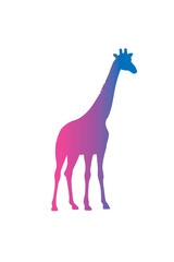 The silhouette of a giraffe. Original vector illustration in vintage style.