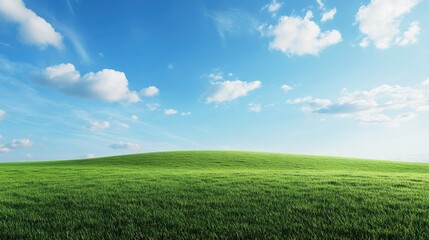 Obraz premium Rolling green grass field extending to the horizon, with light clouds drifting across a deep blue sky.