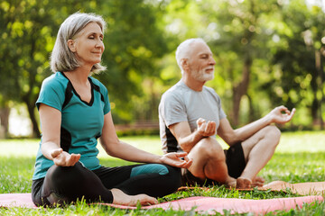 Fototapeta premium Senior couple practicing yoga outdoors for mindfulness and wellbeing, health care concept