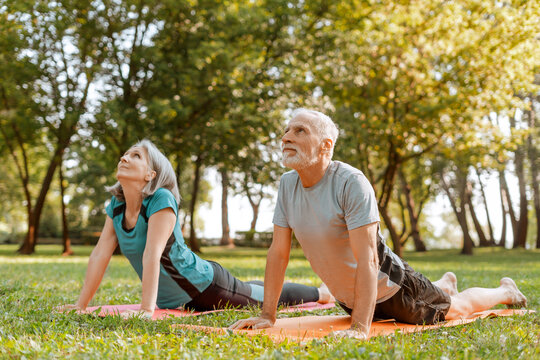 Senior couple, mature woman and man practicing cobra pose on yoga mats in park