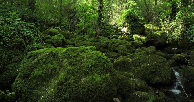 The Pecher spring, Florac, the Cevennes National park, Lozere dpartment, Occitania, Southern France