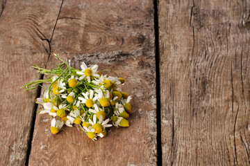 Obraz premium Fresh chamomile flowers on the wooden background. Hair treatment concept. Close up