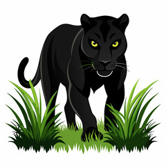 Black Panther Stalking Through Long Grass on White Background | Majestic Wildlife Imagery