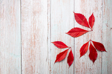 Autumn leaves and chestnuts on wooden background. Copy space. Flat lay