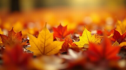 A Vibrant and Detailed Close-up of Autumn Leaves Covering the Ground Creating a Rich Tapestry of Fall Foliage Seasonal Atmosphere
