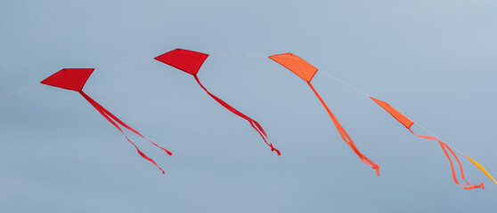 Sky Dance: Quartet of Kites