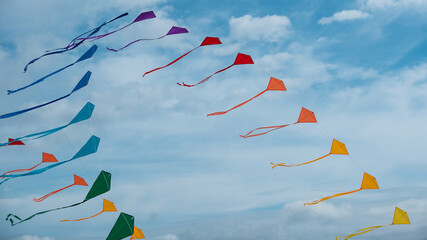 Kites Dancing in the Sky