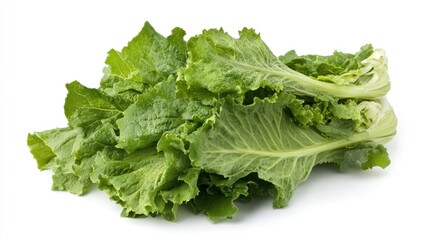 A fresh bunch of leafy romaine lettuce, ideal for salads and healthy dishes.