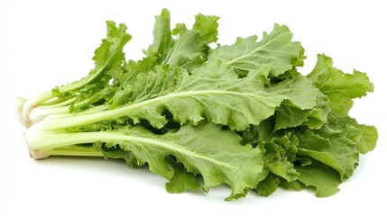 A bunch of fresh, green lettuce with crisp leaves, ready for salads or cooking.