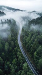 A winding road cuts through a dense, misty forest, offering a glimpse of serene beauty and a mysterious journey ahead.