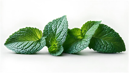 Fresh mint leaves isolated on transparent background.