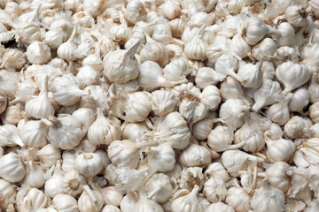 pile of Fresh garlic on market for sale