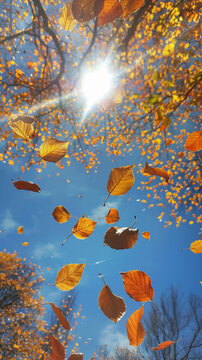 Falling Autumn Leaves Against Bright Sun and Blue Sky