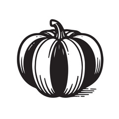 Ink sketch hand drawn pumpkin isolated on white background