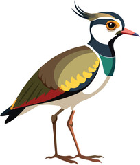 Lapwing vector Illustrations 