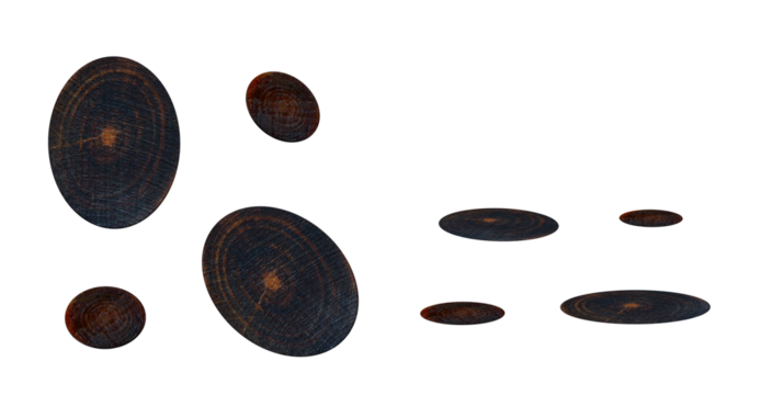 Brown and black pine wood knots. On isolated transparent background.