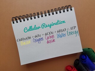 Cellular respiration chemical formula. Chemical equation for cellular respiration is: cells convert...
