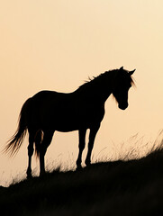 a horse standing on a hill,