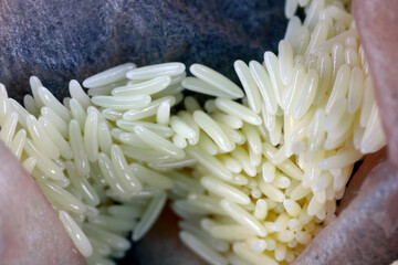 Fly eggs of Common Green Bottle Fly (Lucilia sericata) on trash, food packaging.