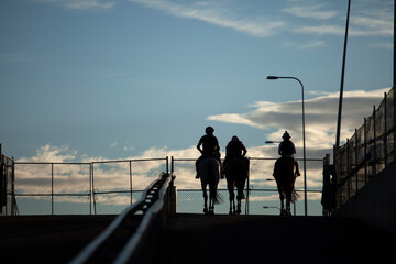 silhouettes of a horse riders in the sunset