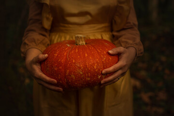 Hand holding Pumpkin 
