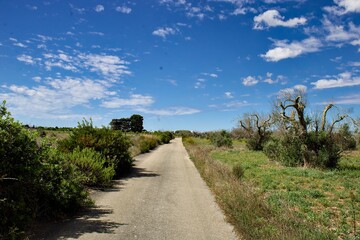 Strade di campagna del Salento - Vernole