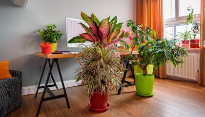 Eclectic houseplant arrangement with a mix of colorful foliage plants in a vibrant home office