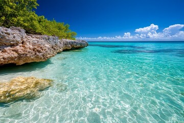 Fototapeta premium Florida Keys Diving Spots represented in a diving guide, showcasing top scuba diving and snorkeling sites like John Pennekamp Coral Reef State Park