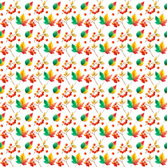 autumn patern on white background