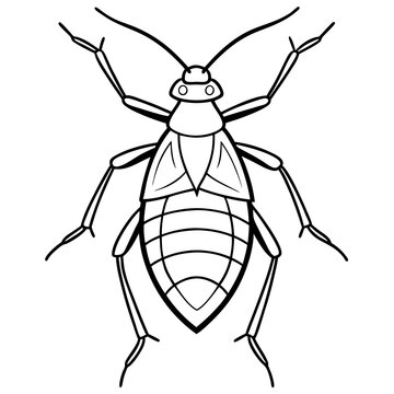 recommend clip art: Aphid outline vector illustration 