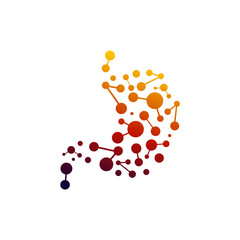 stomach logo vector template illustration design