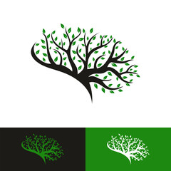 Obraz premium brain tree logo vector template illustration design