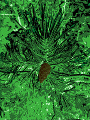 a cone on a pine branch