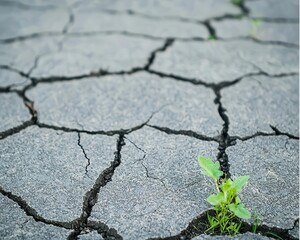 Obraz premium A close-up of cracked pavement with weeds growing between the cracks, set against a gritty urban background cracked pavement, gritty, street ground
