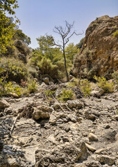 empty bed of a river that flows through a topolia gorge on the crete