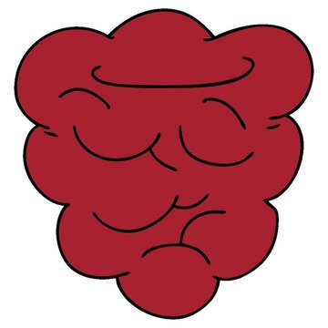 hand drawn quirky cartoon raspberry