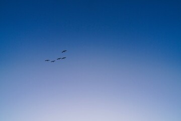 Sunset at Ocean Beach