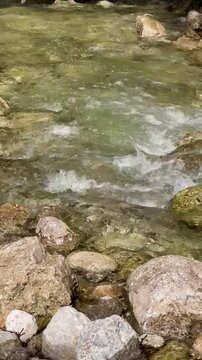 Pollat river in the forest, Germany