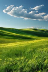 Obraz premium An idyllic landscape featuring lush green hills that are bathed in warm sunlight with fluffy scattered clouds above