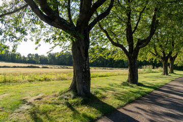Kurpark Bad Rappenau