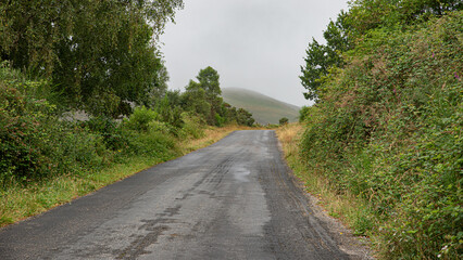 road with lush vegetation and foggy mountains in the background