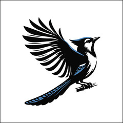 bird, crow, black, animal, wildlife, nature, raven, magpie, beak, white, wild, birds, feather, branch, isolated, avian, feathers
blue jay on a branch