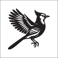 bird, crow, black, animal, wildlife, nature, raven, magpie, beak, white, wild, birds, feather, branch, isolated, avian, feathers
blue jay on a branch