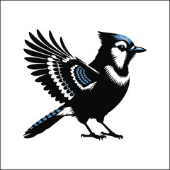 bird, crow, black, animal, wildlife, nature, raven, magpie, beak, white, wild, birds, feather, branch, isolated, avian, feathers
blue jay on a branch