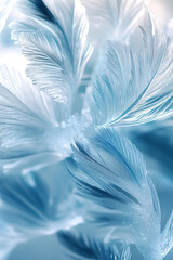 Frosty patterns on a glass window capturing intricate ice patterns in shades of blue and white.