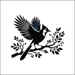 bird, crow, black, animal, wildlife, nature, raven, magpie, beak, white, wild, birds, feather, branch, isolated, avian, feathers
blue jay on a branch